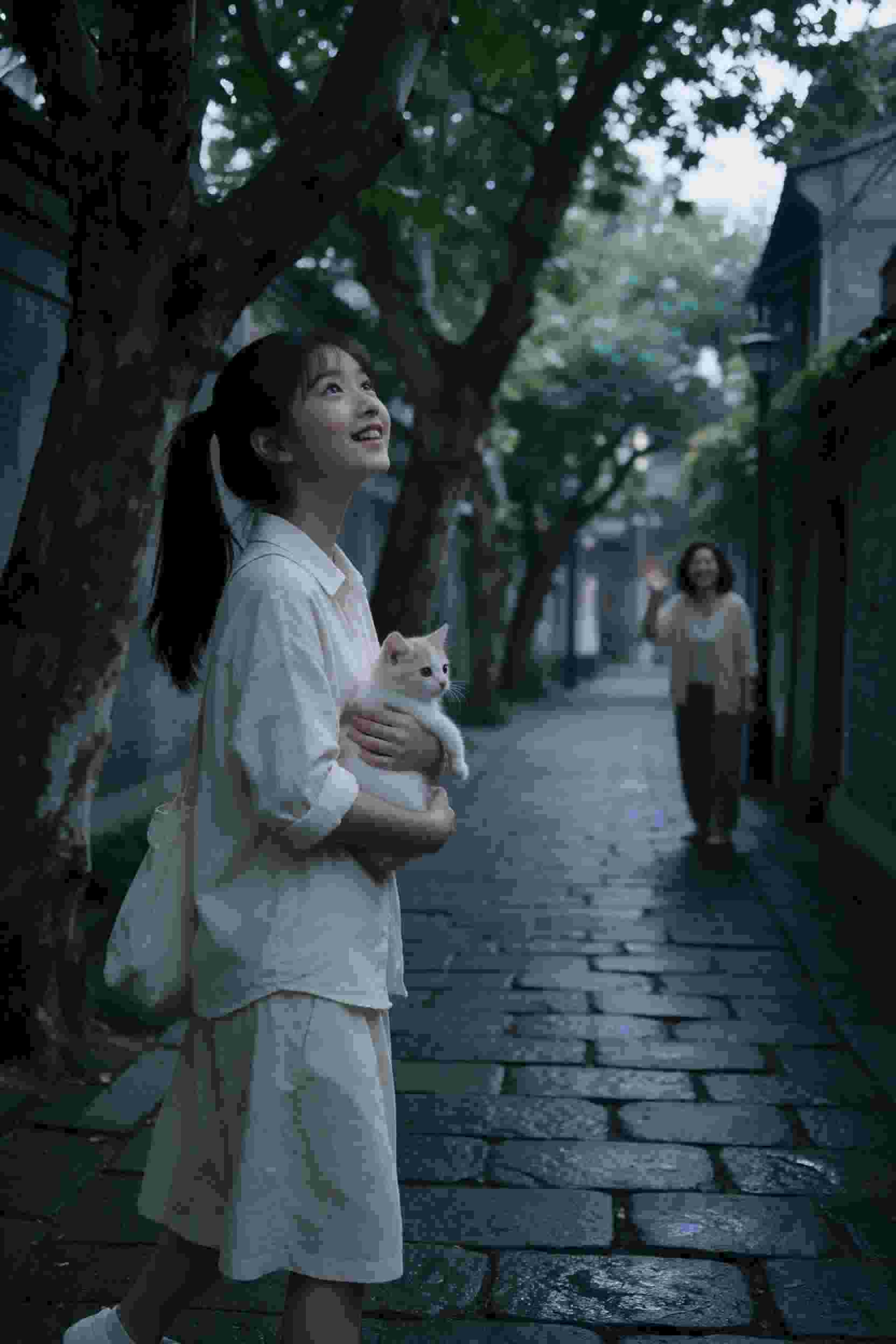 家的定义